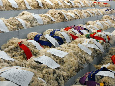 Wool Market